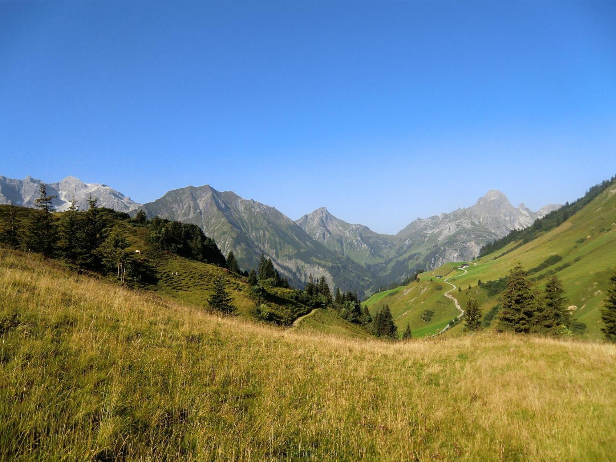 Haus Rothorn Apartment Schroecken Luaran gambar